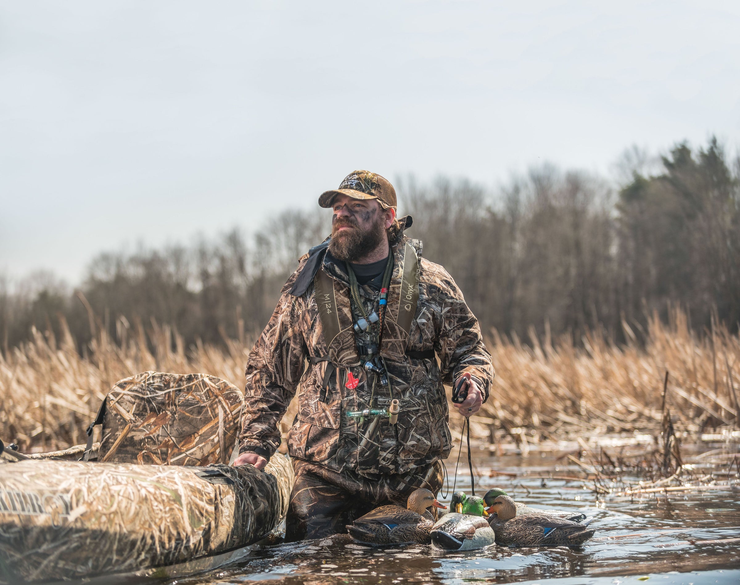 Hunter wearing camouflage wading through a marsh setting up decoys.
