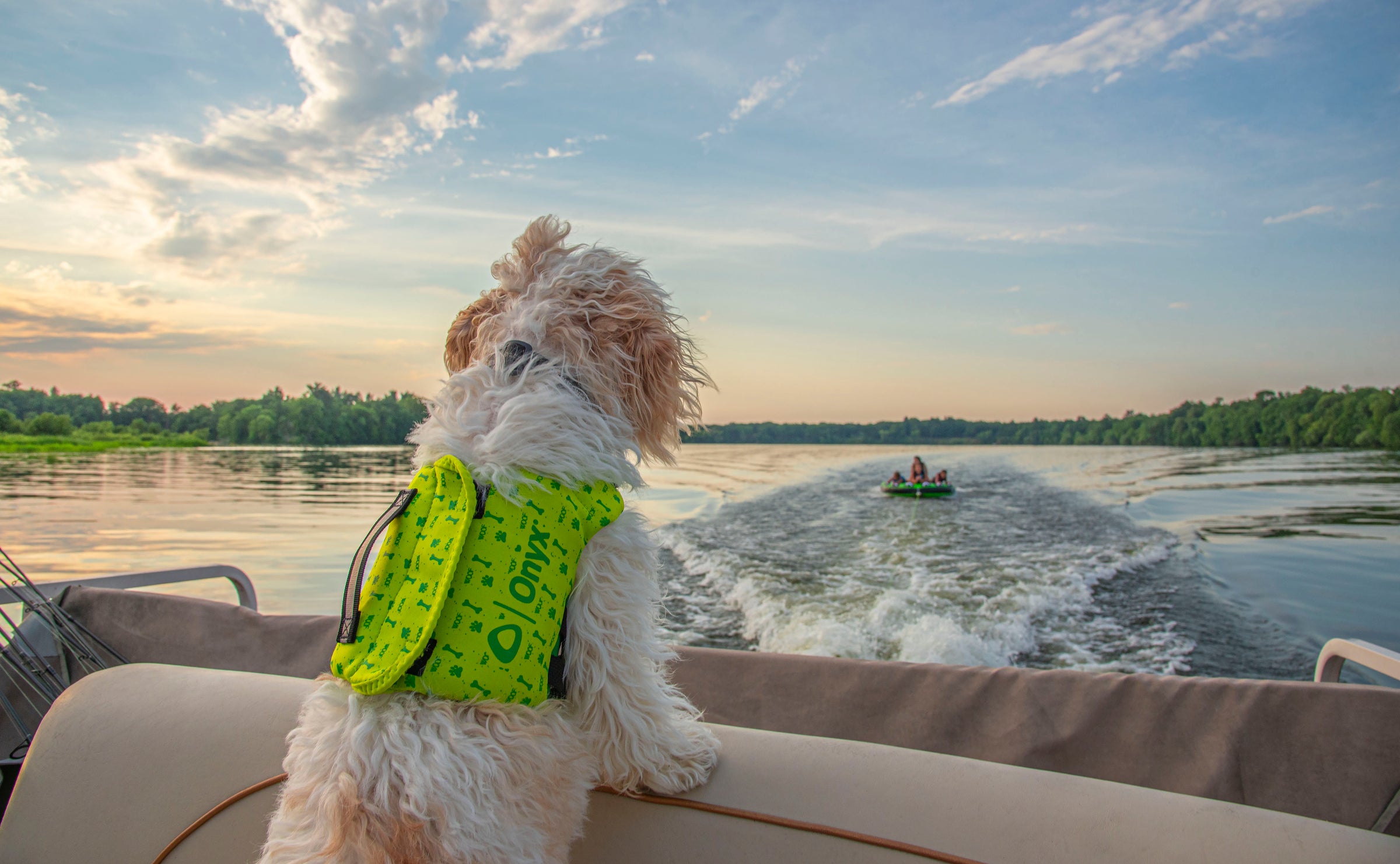 A white dog wearing a Green Onyx Pet Life Vest standing on the back of a boat watching the family on a tube in the background.
