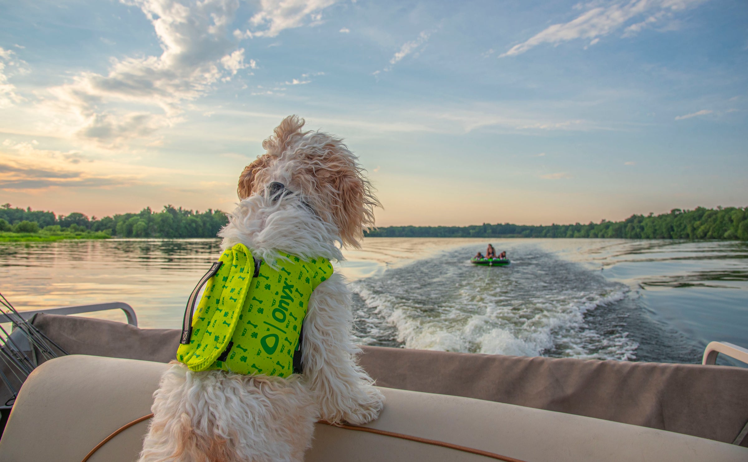 Pet Vests