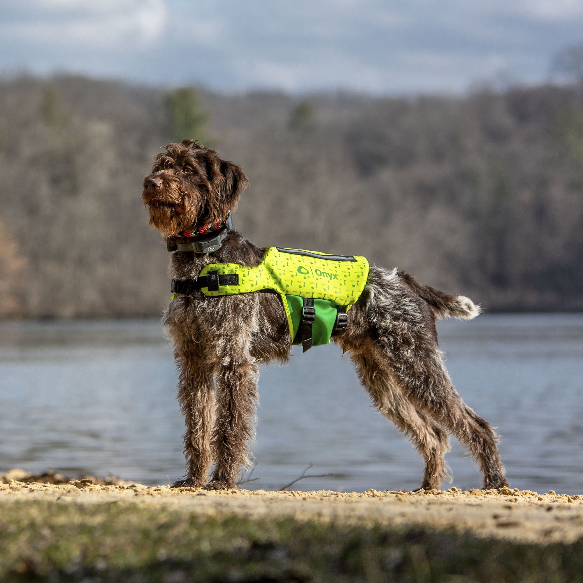 Rapid-Dry Pet Vest – Onyx Outdoor