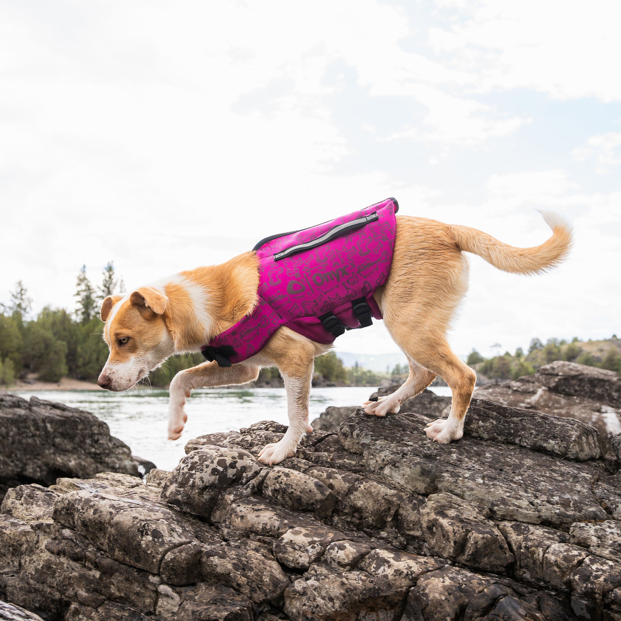 Rapid-Dry Pet Vest – Onyx Outdoor