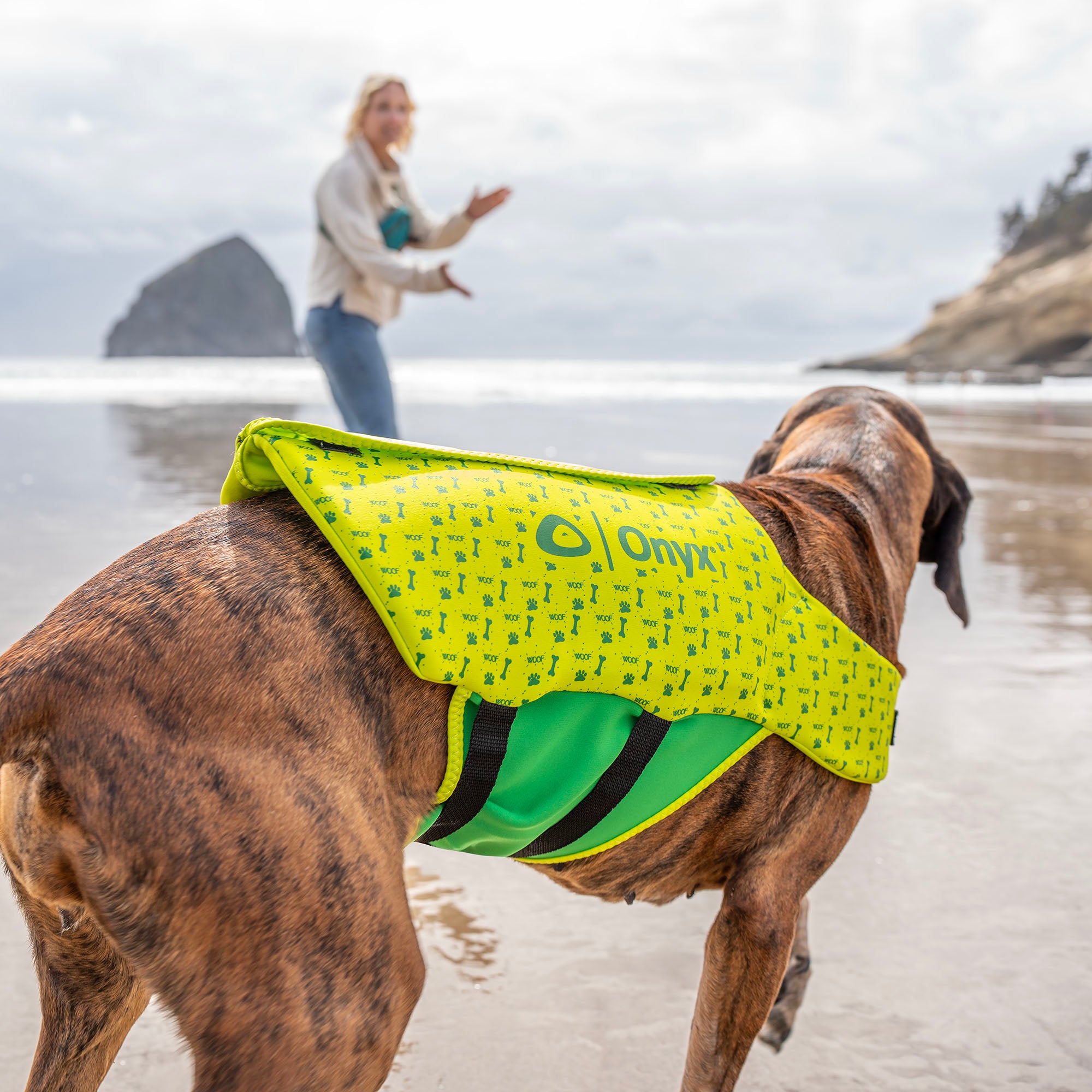 Rapid-Dry Pet Vest – Onyx Outdoor