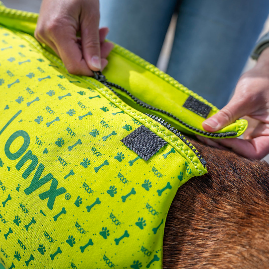 Rapid-Dry Pet Vest